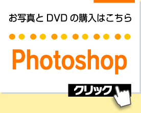 お写真とDVDの購入はこちら