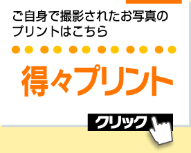 ご自身で撮影されたお写真のプリントはこちら